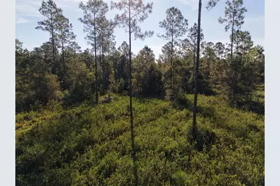 Off NE 212th St., Fort Mc Coy, FL 32134 - Photo 53
