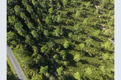 Off NE 212th St., Fort Mc Coy, FL 32134 - Photo 37