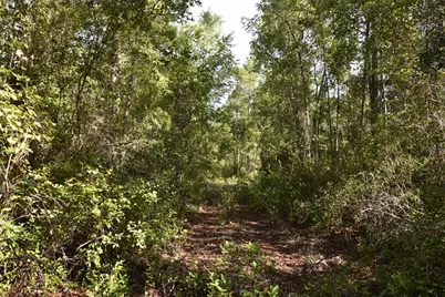 Off NE 212th St., Fort Mc Coy, FL 32134 - Photo 47