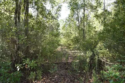 Off NE 212th St., Fort Mc Coy, FL 32134 - Photo 63