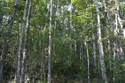 Off NE 212th St., Fort Mc Coy, FL 32134 - Photo 39