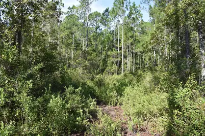 Off NE 212th St., Fort Mc Coy, FL 32134 - Photo 65
