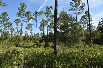 Off NE 212th St., Fort Mc Coy, FL 32134 - Photo 33