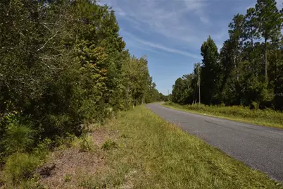 Off NE 212th St., Fort Mc Coy, FL 32134 - Photo 5