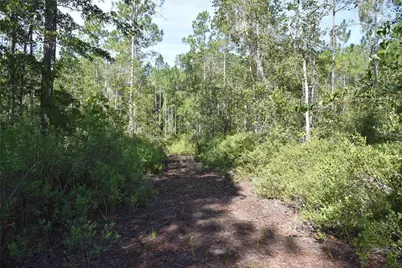 Off NE 212th St., Fort Mc Coy, FL 32134 - Photo 41