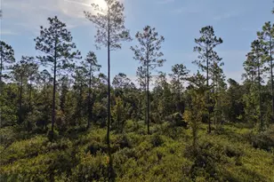 Off NE 212th St, Fort Mc Coy, FL 32134 - Photo 1