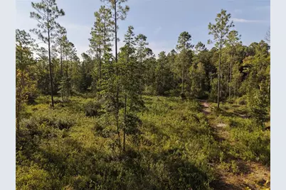 Off NE 212th St., Fort Mc Coy, FL 32134 - Photo 61