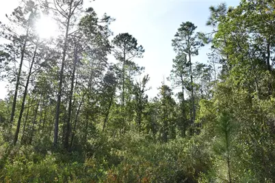 Off NE 212th St., Fort Mc Coy, FL 32134 - Photo 29