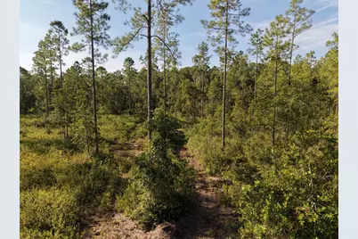 Off NE 212th St., Fort Mc Coy, FL 32134 - Photo 59