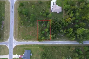 Tbd Sequoia Dr Ct, Ocklawaha, FL 32179 - Photo 1