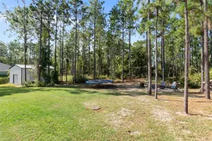 8556 Co Rd 243, Wildwood, FL 34785 - Photo 59