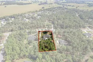 8556 Co Rd 243, Wildwood, FL 34785 - Photo 65