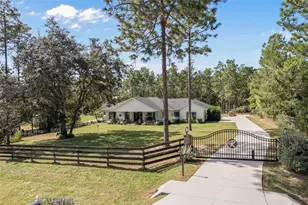 8556 Co Rd 243, Wildwood, FL 34785 - Photo 1