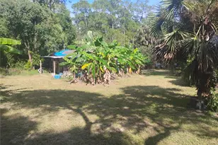 43907 Marie Ave, Deland, FL 32720 - Photo 7