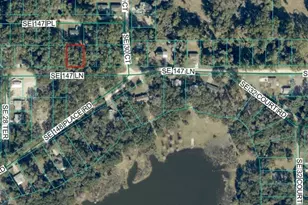 Tbd SE 147th Ln, Summerfield, FL 34491 - Photo 1