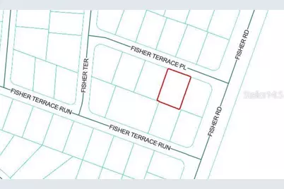 Lot 4 Fisher Terrace Place, Ocklawaha, FL 32179 - Photo 3