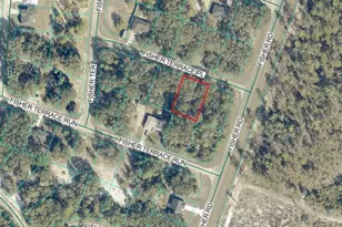Lot 4 Fisher Terrace Pl, Ocklawaha, FL 32179 - Photo 1