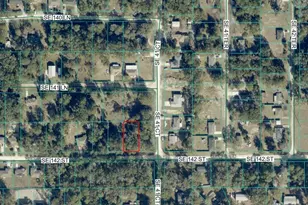 Tbd SE 142nd St, Summerfield, FL 34491 - Photo 1
