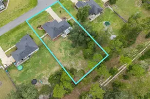 19992 NW 159th Pl, Alachua, FL 32615 - Photo 67