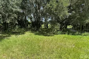7350 SE 181 Ct, Morriston, FL 32668 - Photo 33