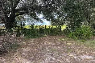 7350 SE 181 Ct, Morriston, FL 32668 - Photo 43