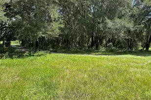 7350 SE 181 Ct, Morriston, FL 32668 - Photo 31