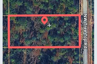 Tree Top Road, Dunnellon, FL 34432 - Photo 3