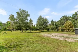 7920 NE Hwy 41, Williston, FL 32696 - Photo 33