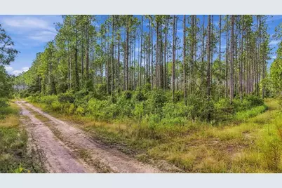 0 Doc Smith Road, Bronson, FL 32621 - Photo 3