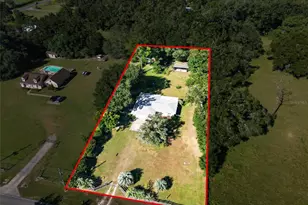 9880 NE 36 Ave, Anthony, FL 32617 - Photo 23