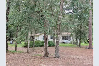 12180 NE 238th Terrace, Salt Springs, FL 32134 - Photo 27