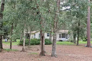 12180 NE 238 Terrace, Salt Springs, FL 32134 - Photo 27