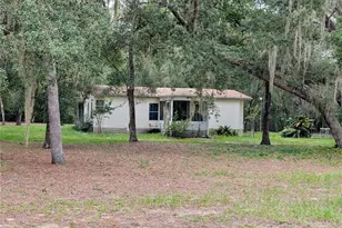 12180 NE 238 Terrace, Salt Springs, FL 32134 - Photo 1
