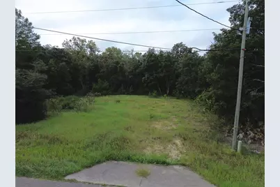 106 Guava Pass, Ocklawaha, FL 32179 - Photo 3