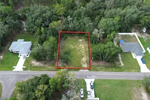 106 Guava Pass, Ocklawaha, FL 32179 - Photo 1
