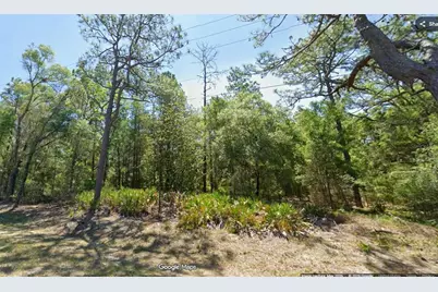 7394 W Dunnellon Road, Dunnellon, FL 34433 - Photo 1