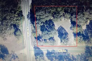 00 Hwy 315, Fort Mc Coy, FL 32134 - Photo 1