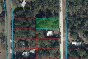 0000 NE 141st Ave, Williston, FL 32696 - Photo 1