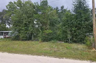 0000 NE 141st Ave, Williston, FL 32696 - Photo 1