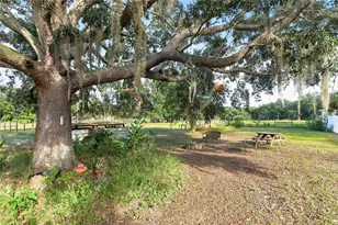 16923 SW 17th Cir, Ocala, FL 34473 - Photo 21