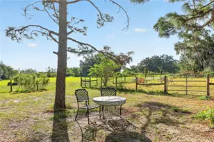 16923 SW 17th Cir, Ocala, FL 34473 - Photo 33