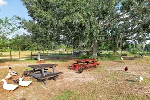 16923 SW 17th Cir, Ocala, FL 34473 - Photo 19