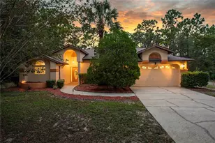 4622 N Pink Poppy Dr, Beverly Hills, FL 34465 - Photo 1