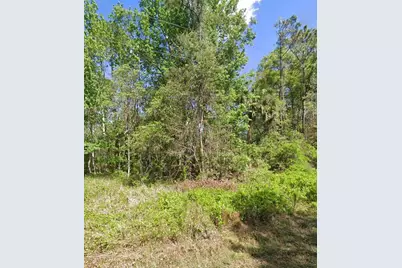 217 Dogwood Avenue, Georgetown, FL 32139 - Photo 3