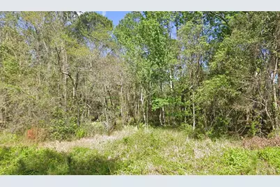 217 Dogwood Avenue, Georgetown, FL 32139 - Photo 1