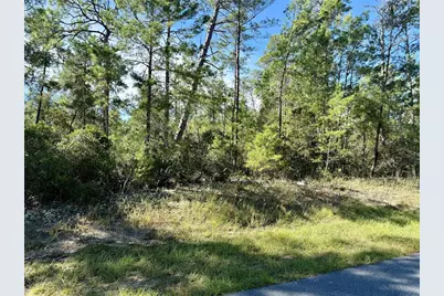 4419 W Malaluka Circle, Citrus Springs, FL 34433 - Photo 5
