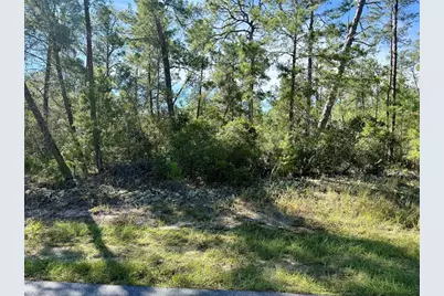 4419 W Malaluka Circle, Citrus Springs, FL 34433 - Photo 7