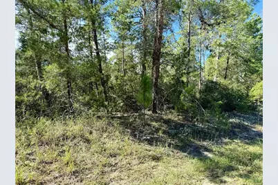 4419 W Malaluka Circle, Citrus Springs, FL 34433 - Photo 3