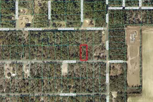 Tbd SW Papaya Ln, Dunnellon, FL 34431 - Photo 1
