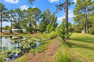 14641 NE 154 St, Fort Mc Coy, FL 32134 - Photo 5